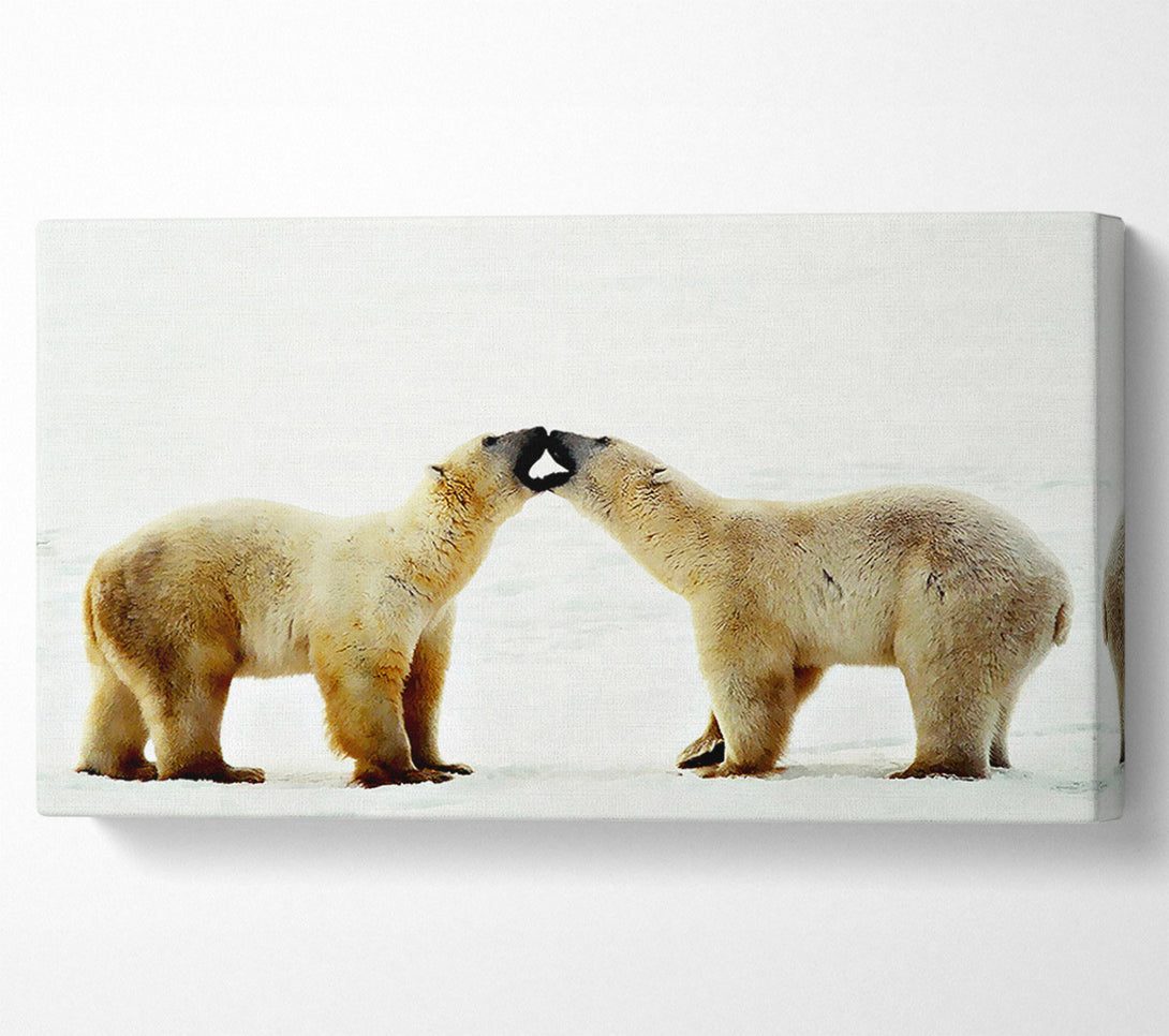 A Canvas Print of Polar Bear Love Canvas Art