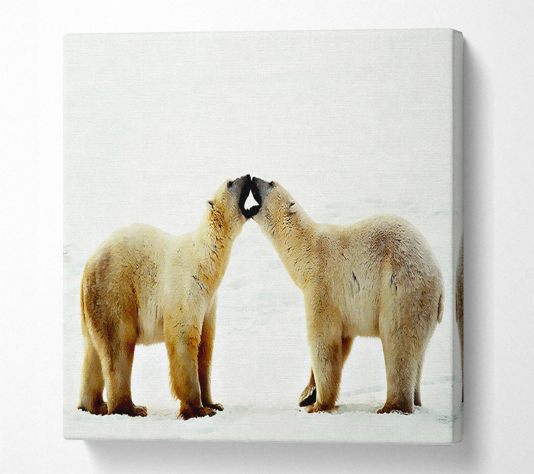  A Canvas Print of Polar Bear Love Canvas Art