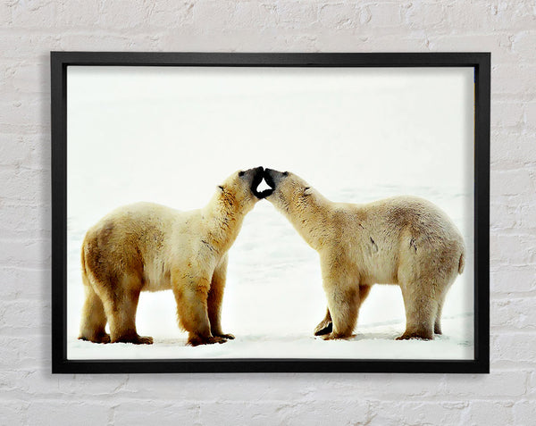 Eisbärenliebe