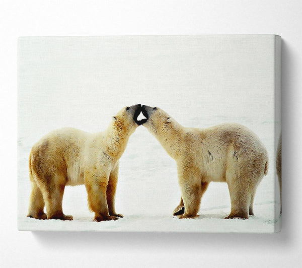  A Canvas Print of Polar Bear Love Canvas Art