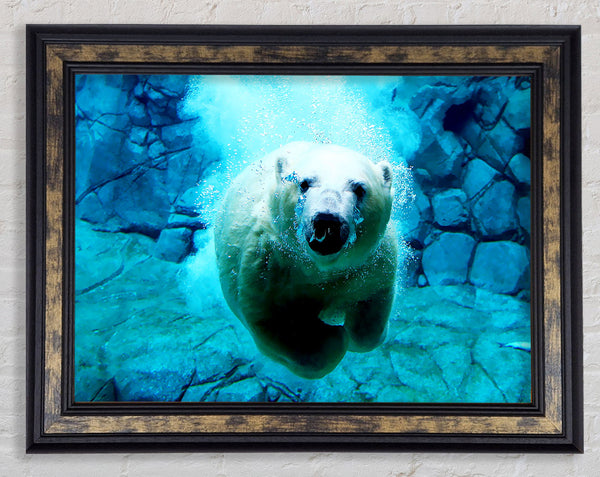 Polar Bear Ocean Framed Print