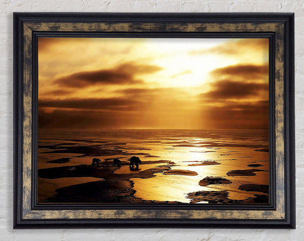 Polar Bear Treck Framed Print