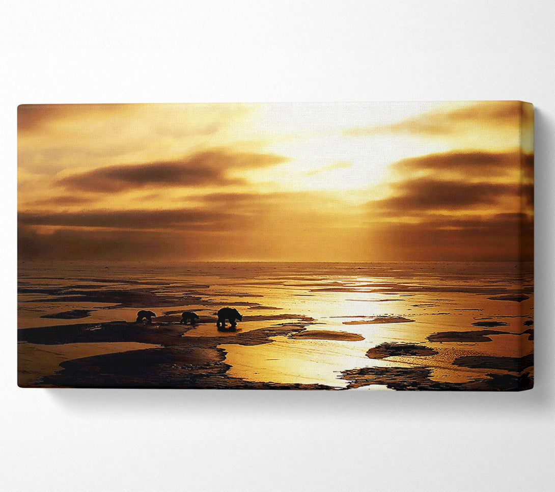  A Canvas Print of Polar Bear Treck Canvas Print