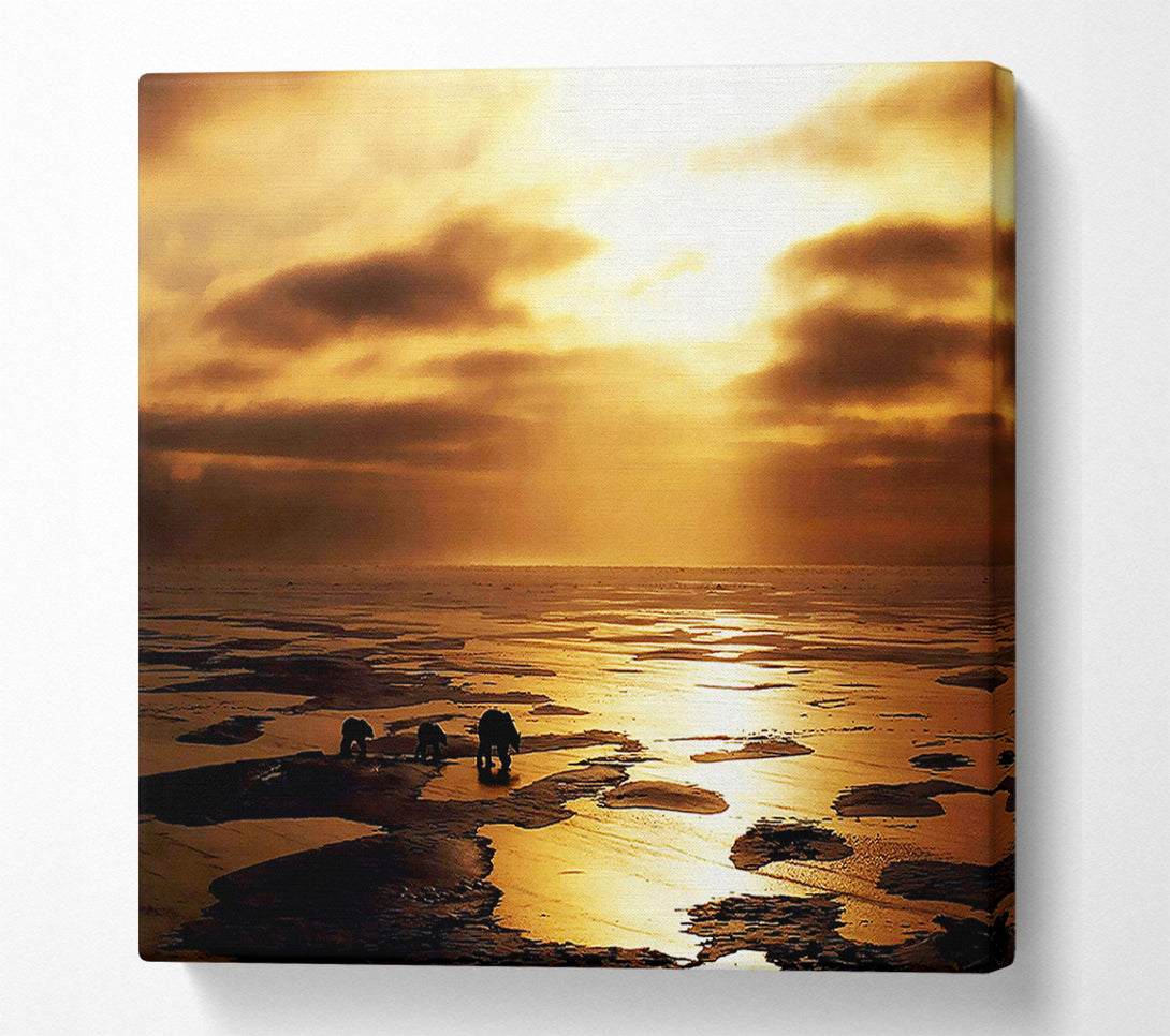  A Canvas Print of Polar Bear Treck Canvas Print