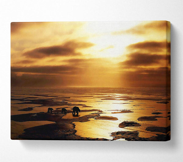  A Canvas Print of Polar Bear Treck Canvas Print