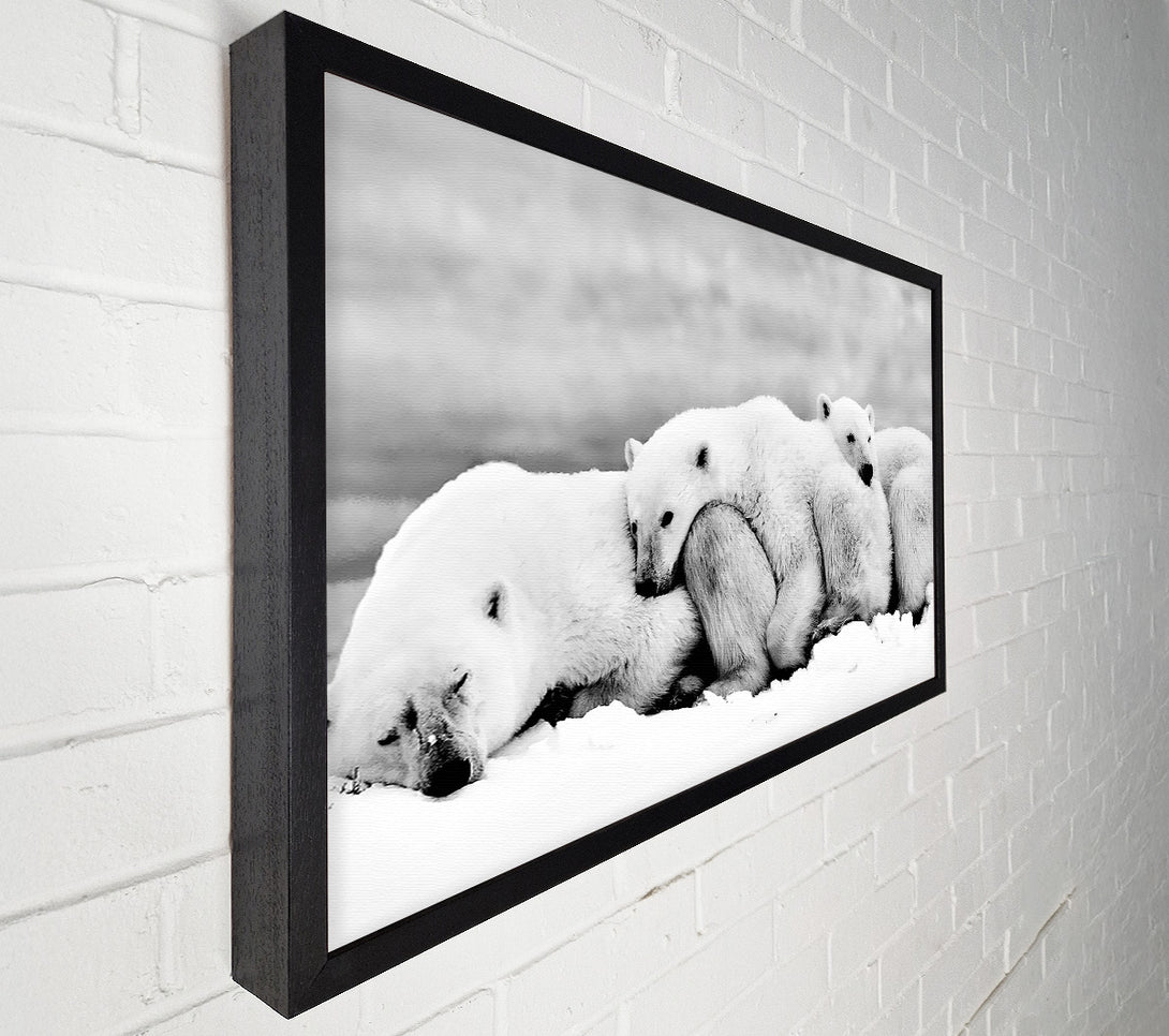  A Canvas Print of Polar bear Family Canvas Art