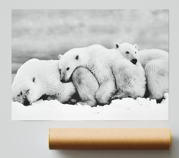 Polar Bear Family Poster
