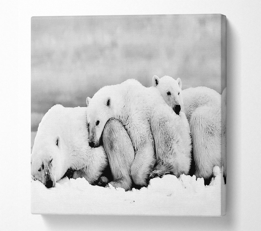  A Canvas Print of Polar bear Family Canvas Art