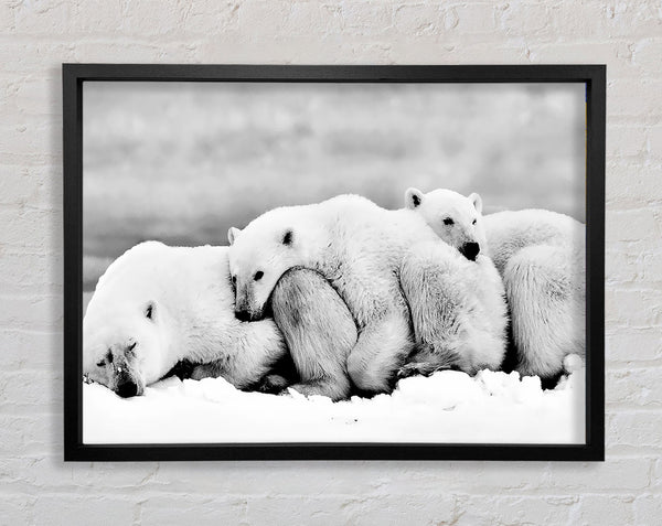 Polar bear Family Framed Print