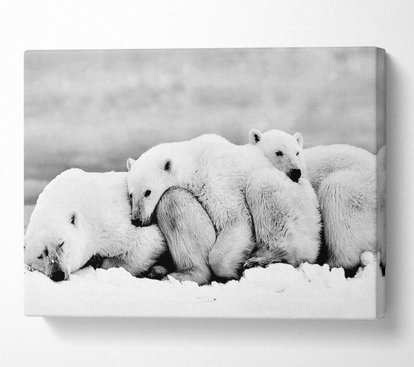  A Canvas Print of Polar bear Family Canvas Art