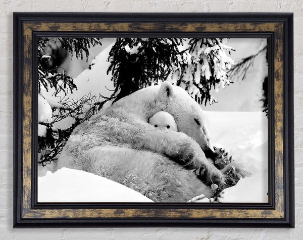 Polar bear Hug Framed Print