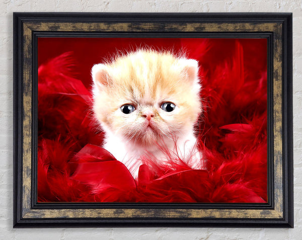 Precious Cute Love Framed Print