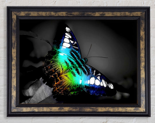 Psychodelic Butterfly Framed Print