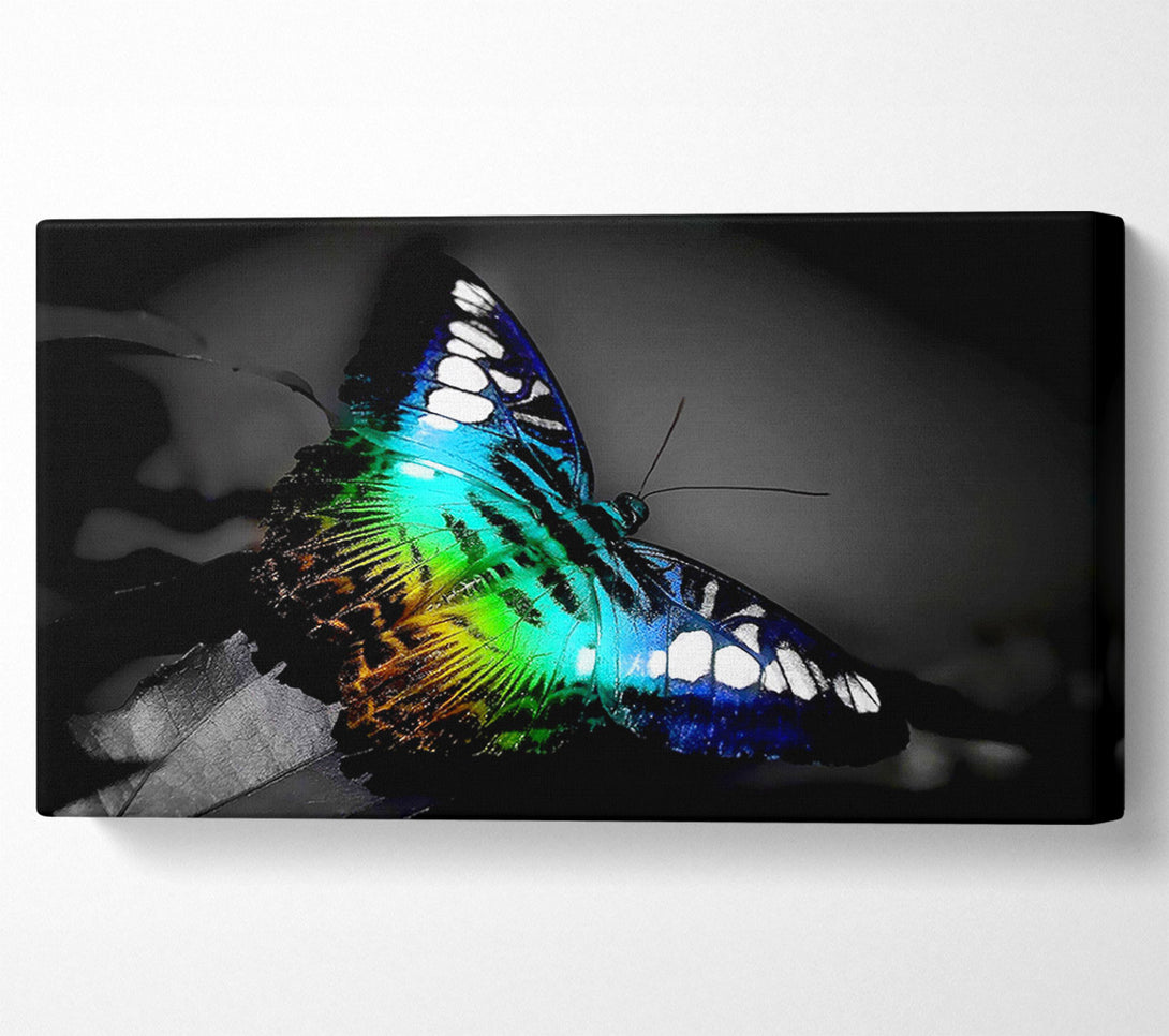  A Canvas Print of Psychodelic Butterfly Canvas Print