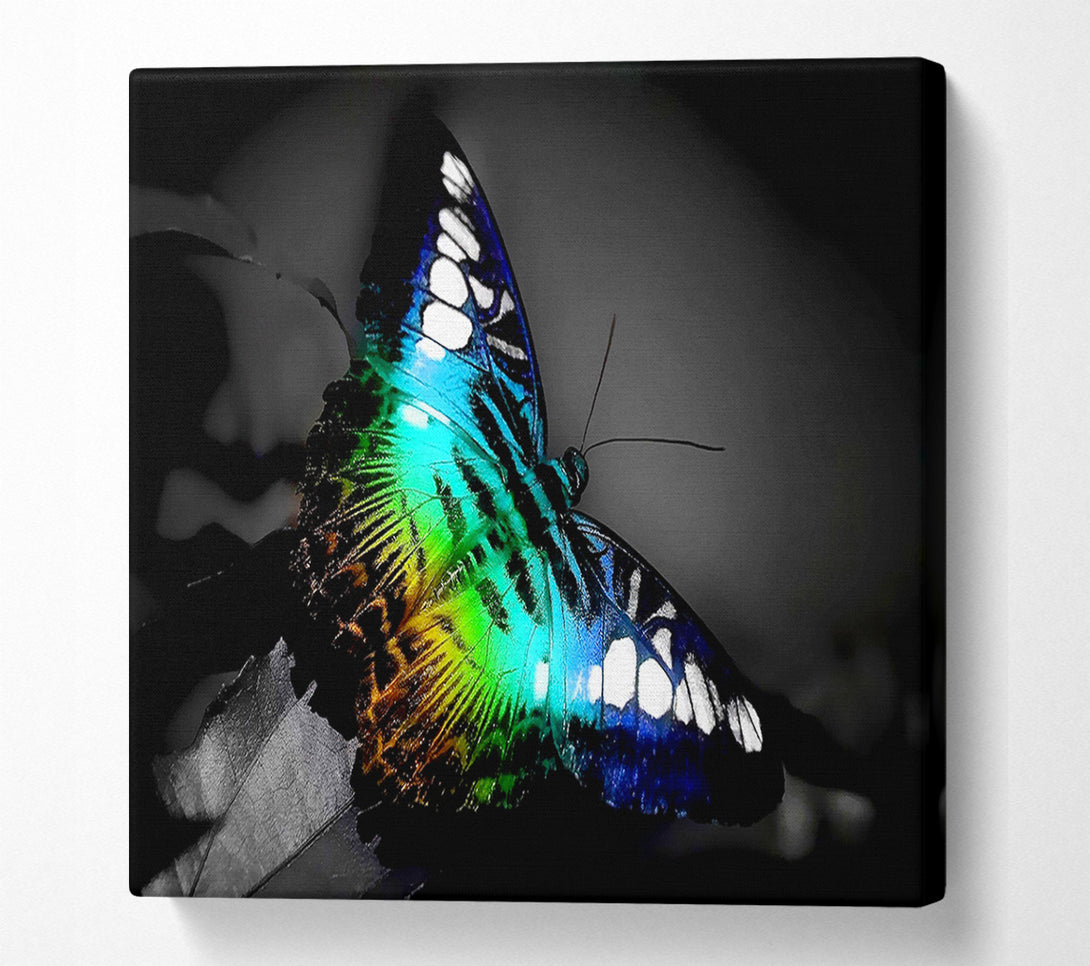  A Canvas Print of Psychodelic Butterfly Canvas Print