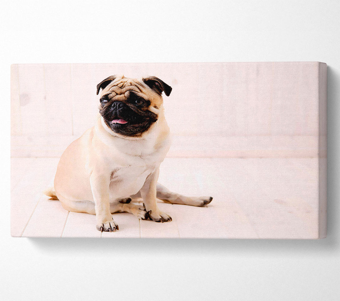  A Canvas Print of Pug Dog Canvas Print