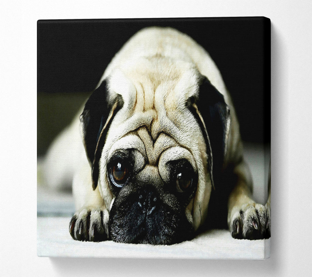  A Canvas Print of Pug Canvas Wall Art