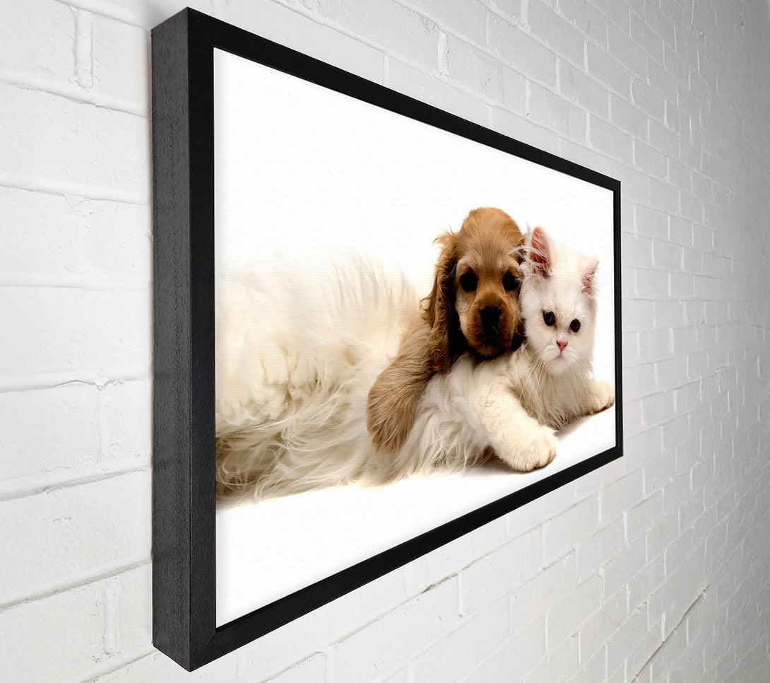  A Canvas Print of Puppy And Kitten Love Canvas Print