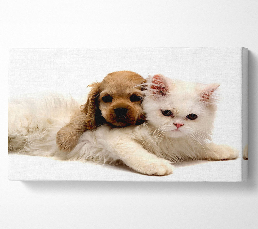  A Canvas Print of Puppy And Kitten Love Canvas Print