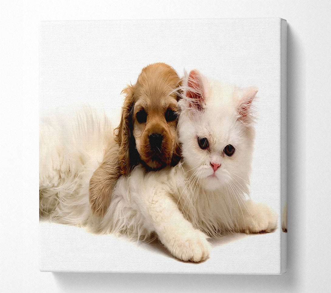  A Canvas Print of Puppy And Kitten Love Canvas Print