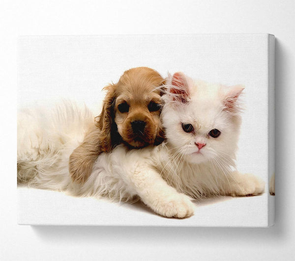  A Canvas Print of Puppy And Kitten Love Canvas Print