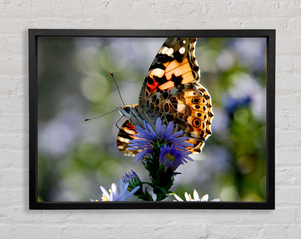 Purple Flower Butterfly Framed Print