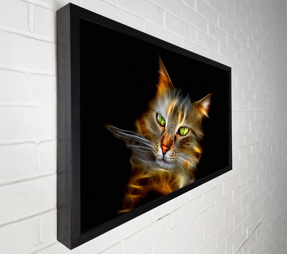  A Canvas Print of Purrfect Canvas Art