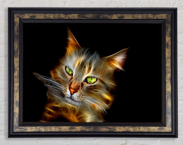 Purrfect Framed Print