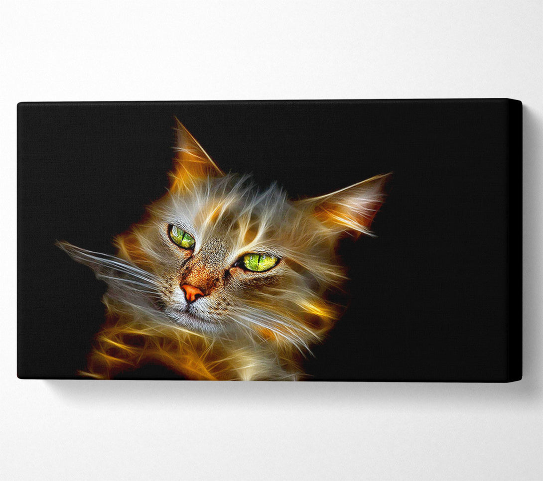  A Canvas Print of Purrfect Canvas Art