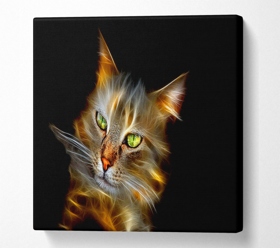  A Canvas Print of Purrfect Canvas Art