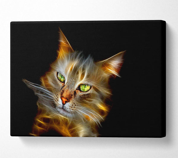  A Canvas Print of Purrfect Canvas Art