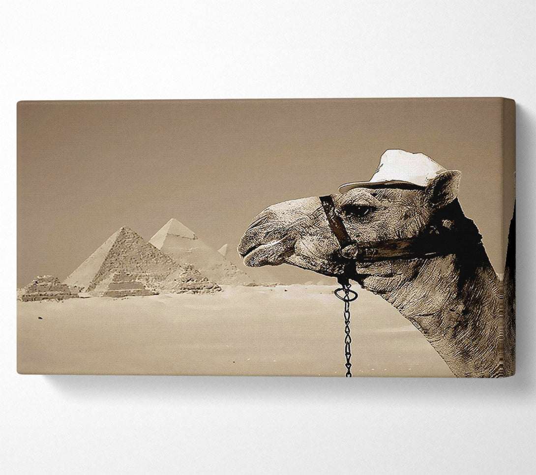  A Canvas Print of Pyramid Camel Canvas Art