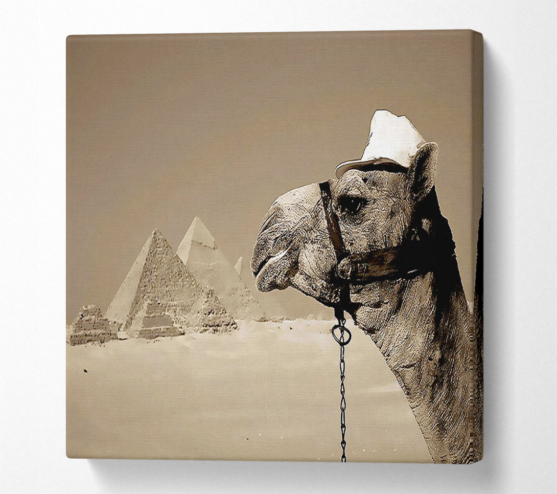  A Canvas Print of Pyramid Camel Canvas Art