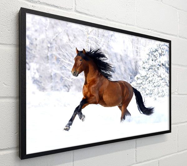 Racing Horse