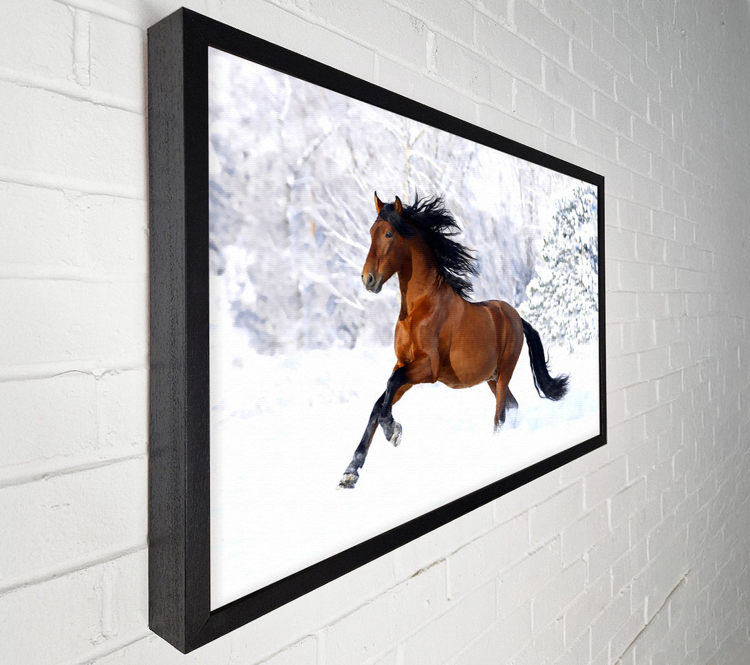 A Canvas Print of Racing Horse Canvas Print