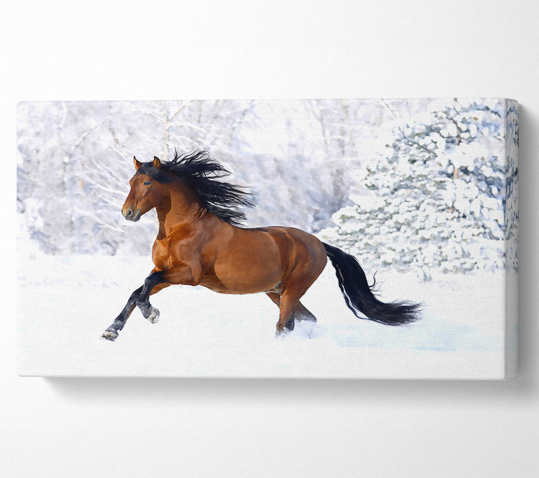  A Canvas Print of Racing Horse Canvas Print