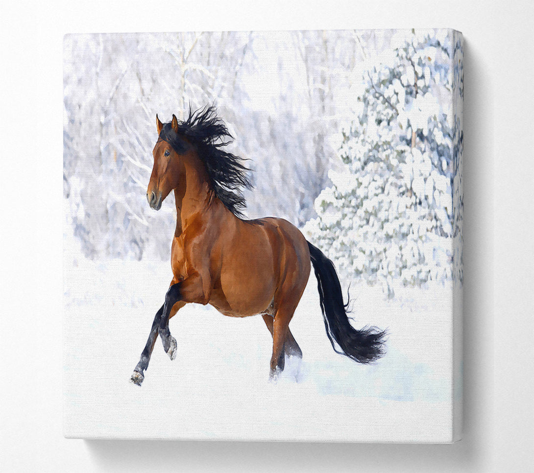  A Canvas Print of Racing Horse Canvas Print
