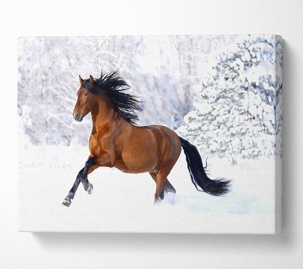  A Canvas Print of Racing Horse Canvas Print