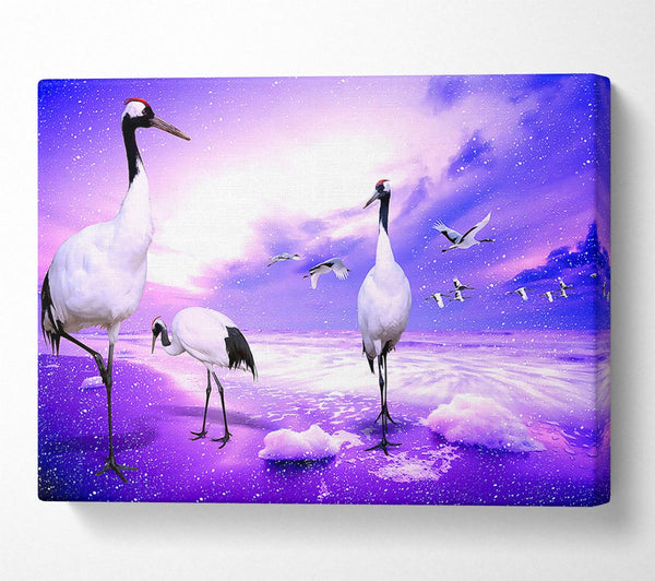 Red Crowned Cranes Japan Canvas Print