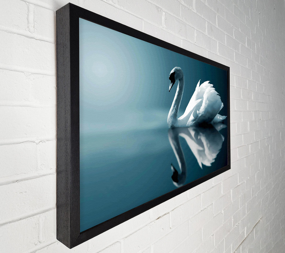  A Canvas Print of Reflections Of A Swan Canvas Art