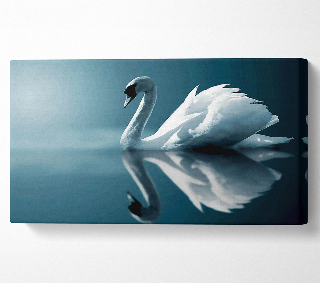  A Canvas Print of Reflections Of A Swan Canvas Art