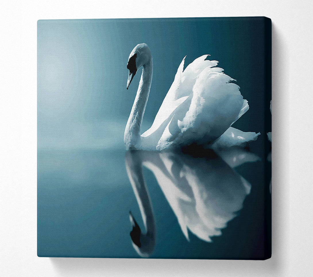  A Canvas Print of Reflections Of A Swan Canvas Art