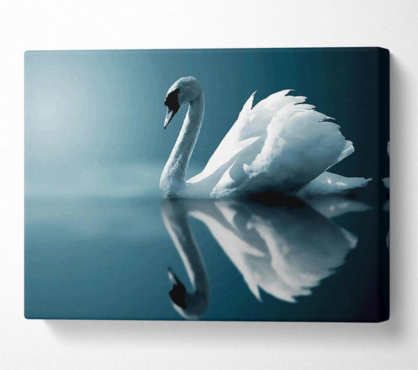  A Canvas Print of Reflections Of A Swan Canvas Art