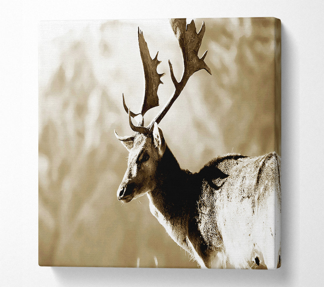  A Canvas Print of Reindeer Canvas Wall Art