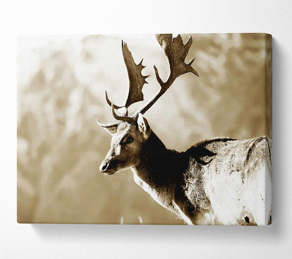 A Canvas Print of Reindeer Canvas Wall Art