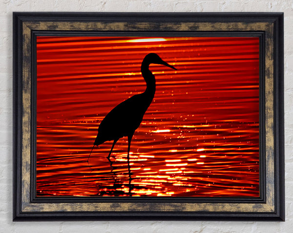 River Bird Framed Print