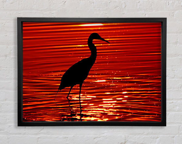 River Bird Framed Print