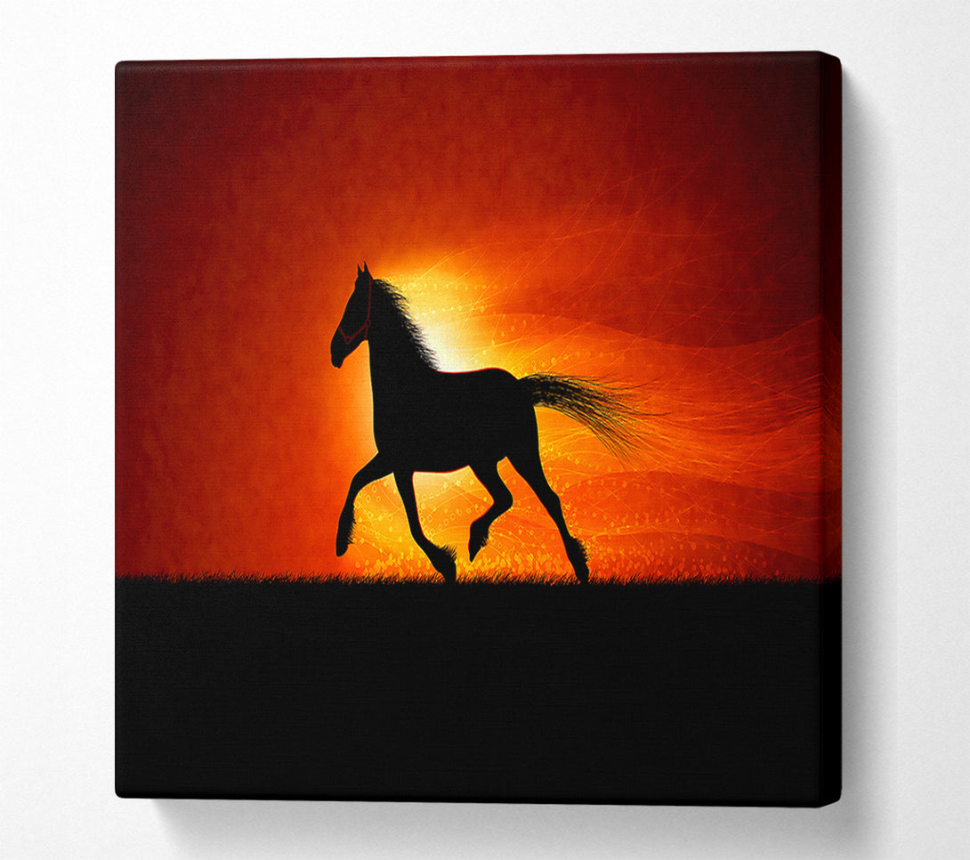  A Canvas Print of Running Horse Sunset Blaze Canvas Art