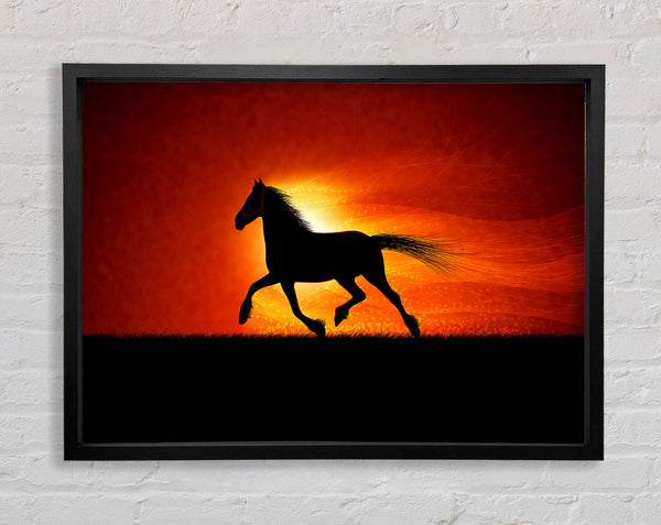 Running Horse Sunset Blaze Framed Print