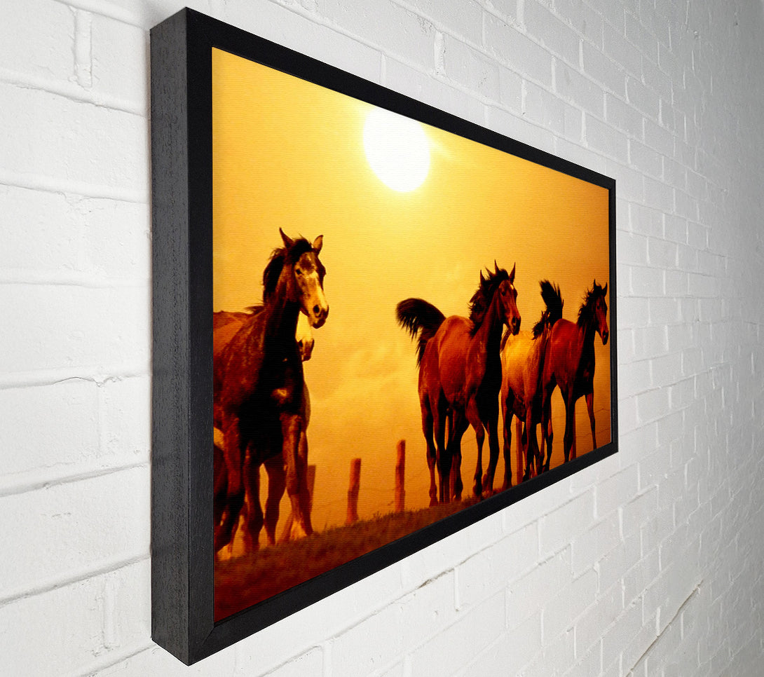 A Canvas Print of Running Horses At Sunset Canvas Art